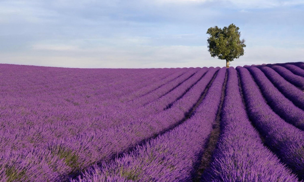 Dành cho ai chưa kiếm được 1 tỷ đầu tiên và dành cho người muốn kiếm 10 tỷ tiếp theo!